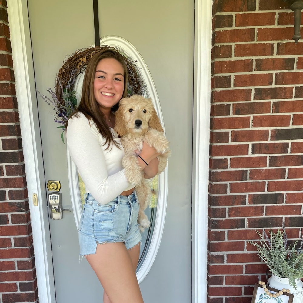 Meet your Posher, Abby